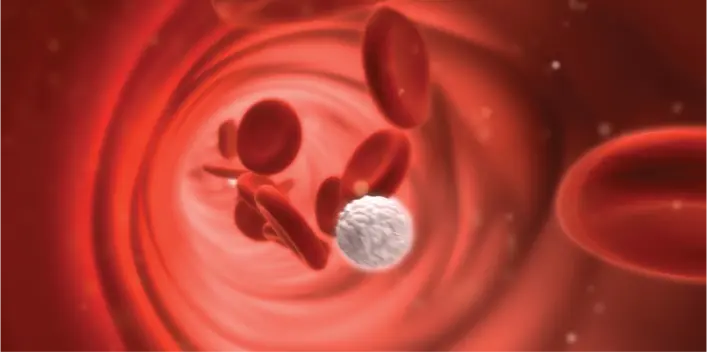 Light interacts with tissues at a cellular level; red blood cells in a blood vessel