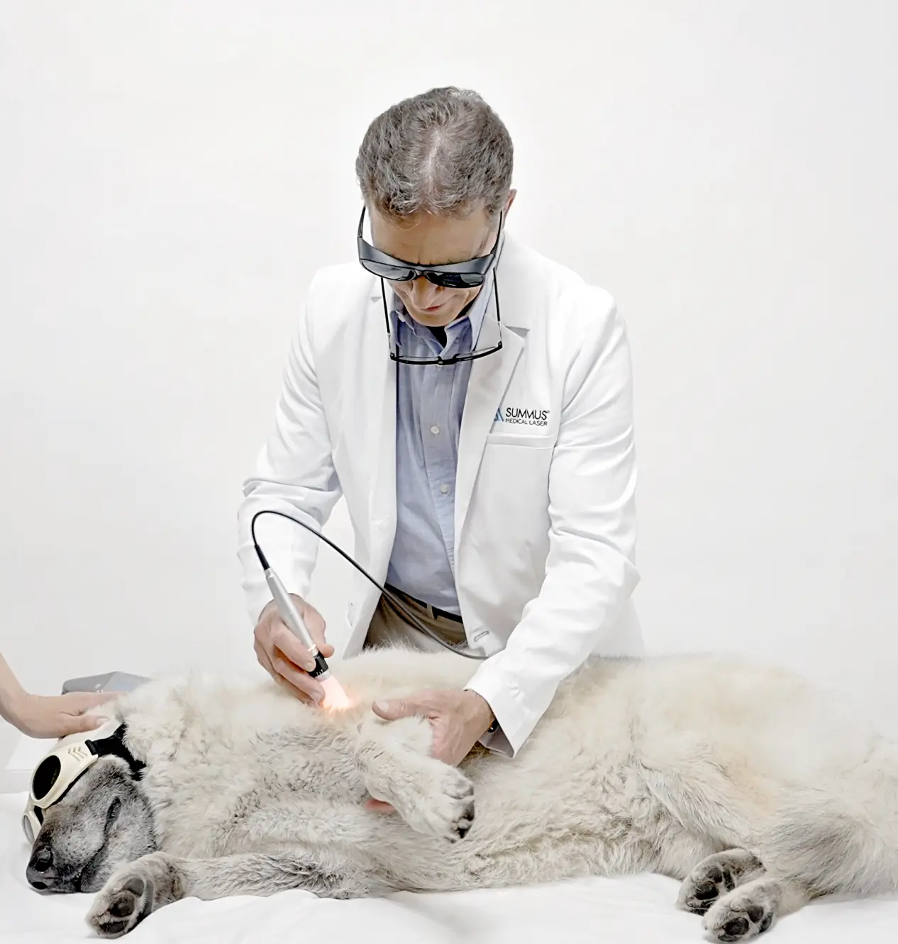 Vet; summus doctor providing laser therapy treatment to a dog laying on it's side on the table; both parties are wearing protective goggles;